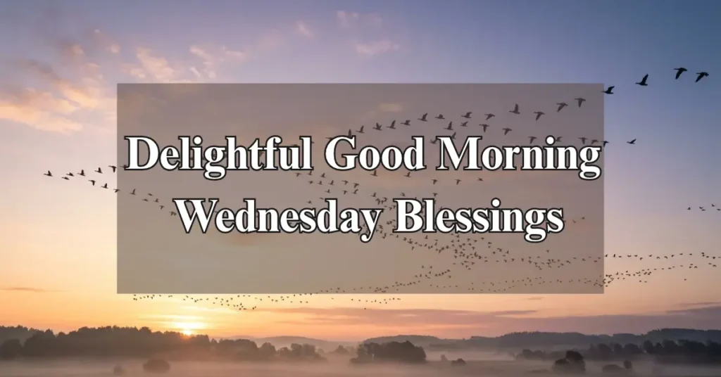 Delightful Good Morning Wednesday Blessings