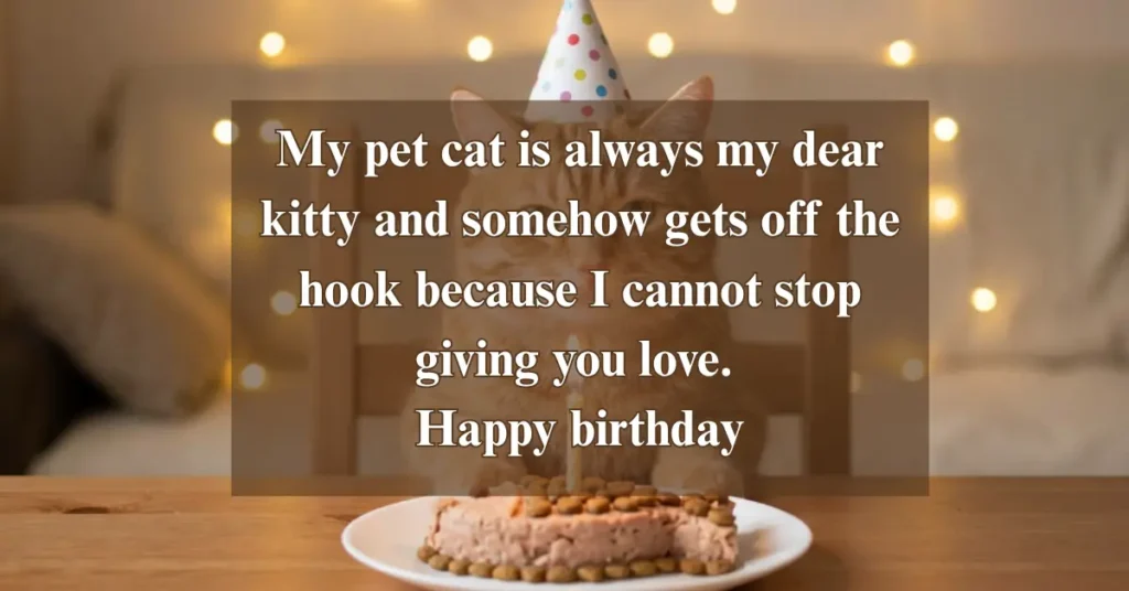 Birthday Wishes For Pet Cats